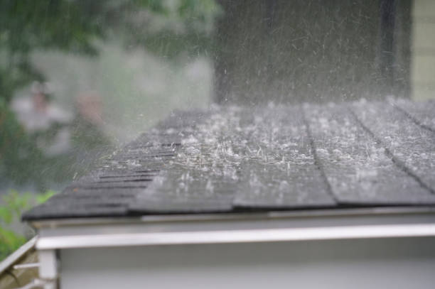 Best Roof Leak Repair  in Goodrich, MI
