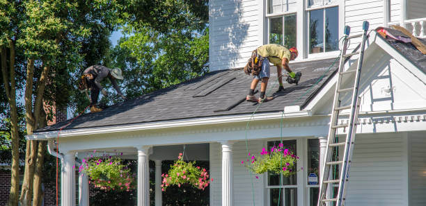 Best Roof Maintenance and Cleaning  in Goodrich, MI
